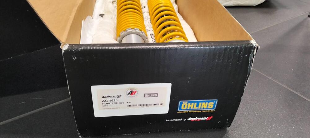 AMMORTIZZATORI POSTERIORI Öhlins (4)