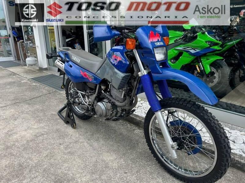 Yamaha XT 600 E (1990 - 04) (8)