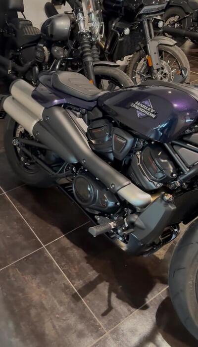 Harley-Davidson Sportster S (2025 - 26) usata