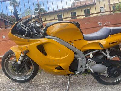 Triumph Daytona 955 I (1999 - 01) usata