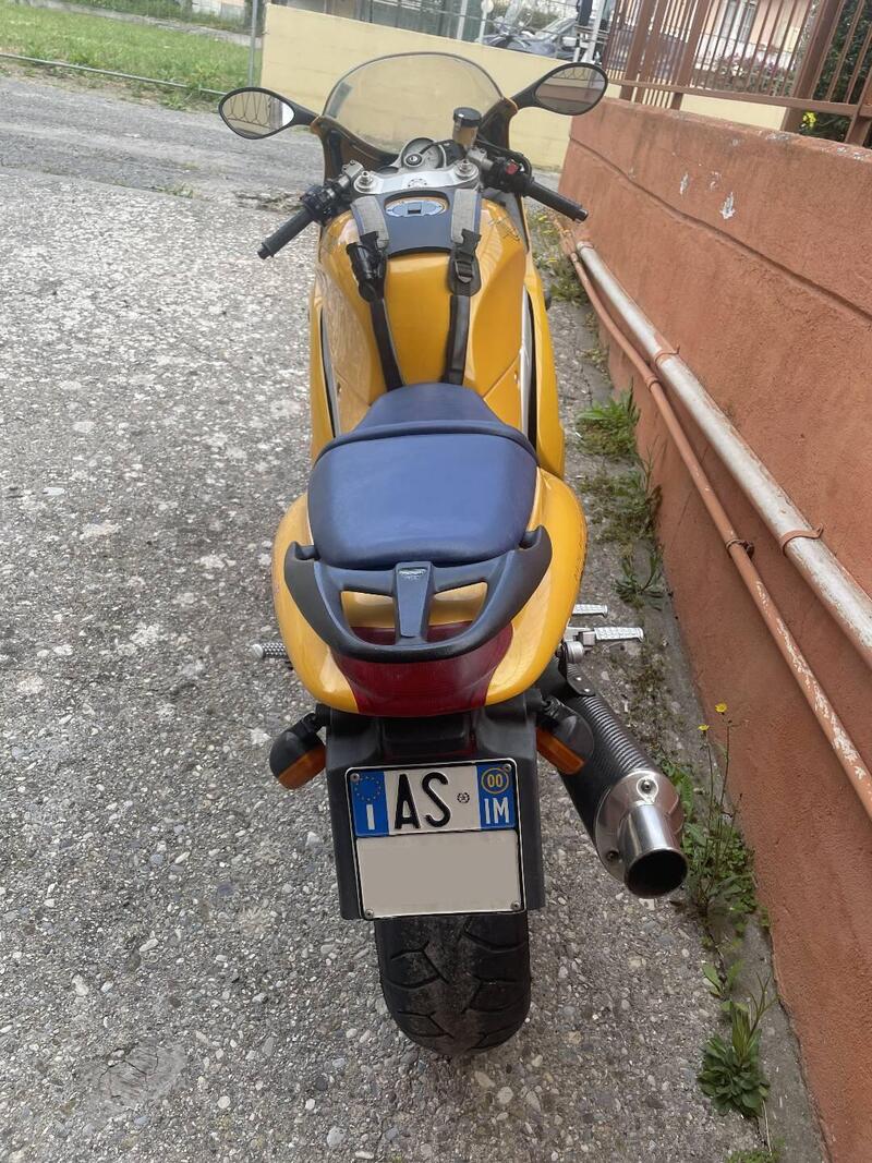 Triumph Daytona 955 I (1999 - 01) (3)