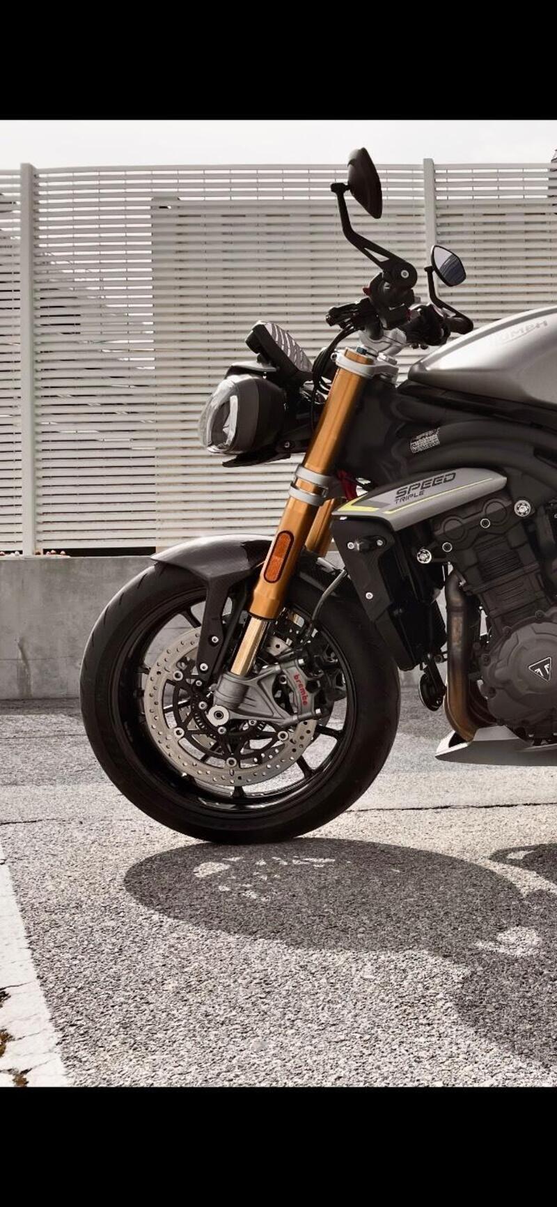 Triumph Speed Triple 1200 RS (2021 - 24) (6)