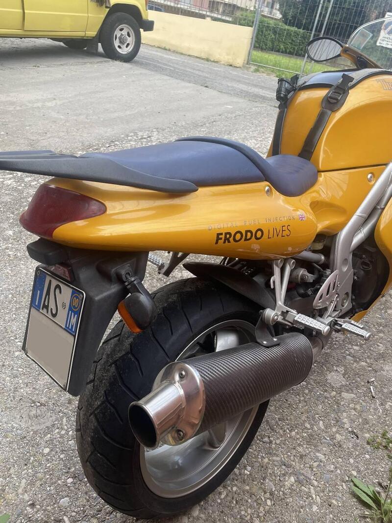 Triumph Daytona 955 I (1999 - 01) (5)