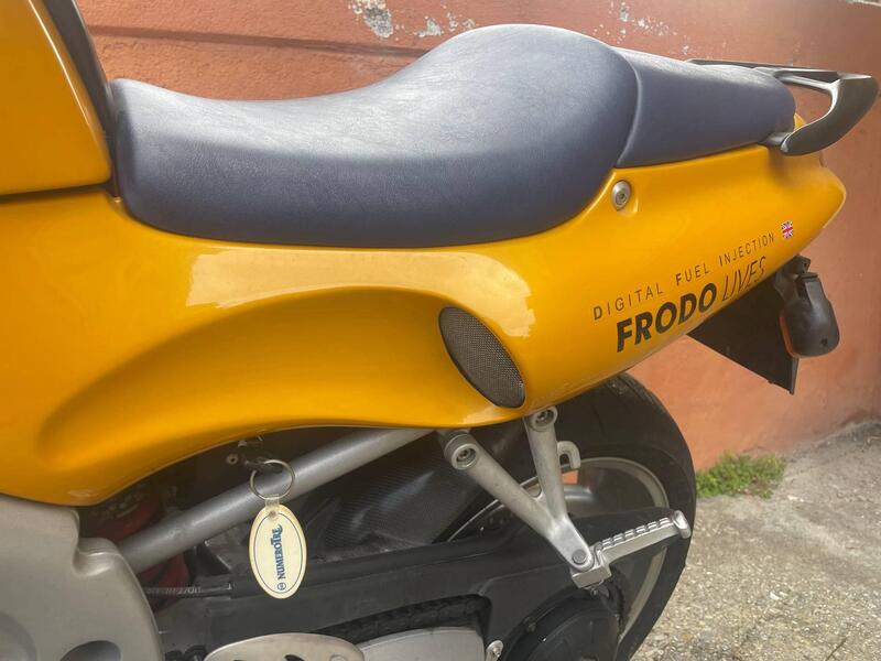 Triumph Daytona 955 I (1999 - 01) (7)