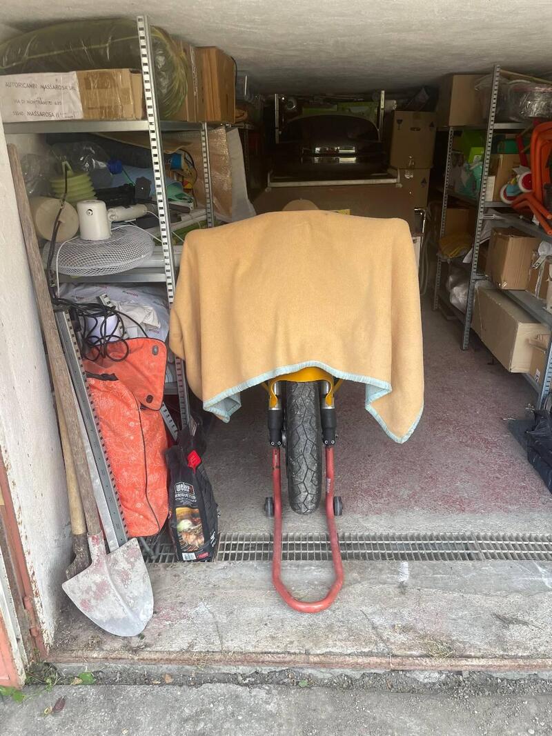 Triumph Daytona 955 I (1999 - 01) (9)