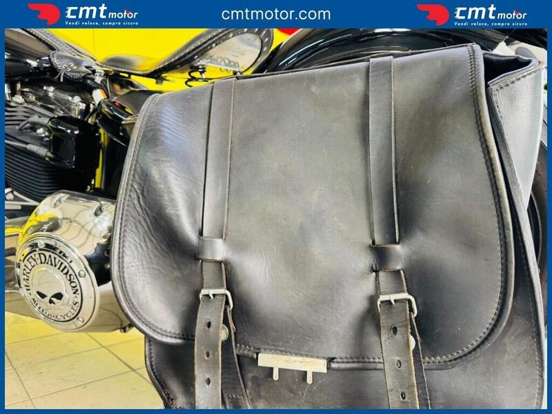 Harley-Davidson 1584 Cross Bones (2008 - 11) - FLSTSB (9)