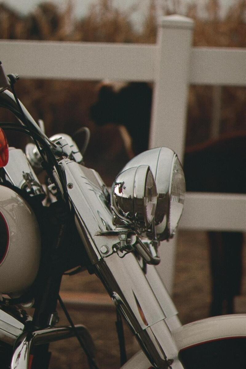 Harley-Davidson 1340 Heritage Special (1993 - 96) (6)