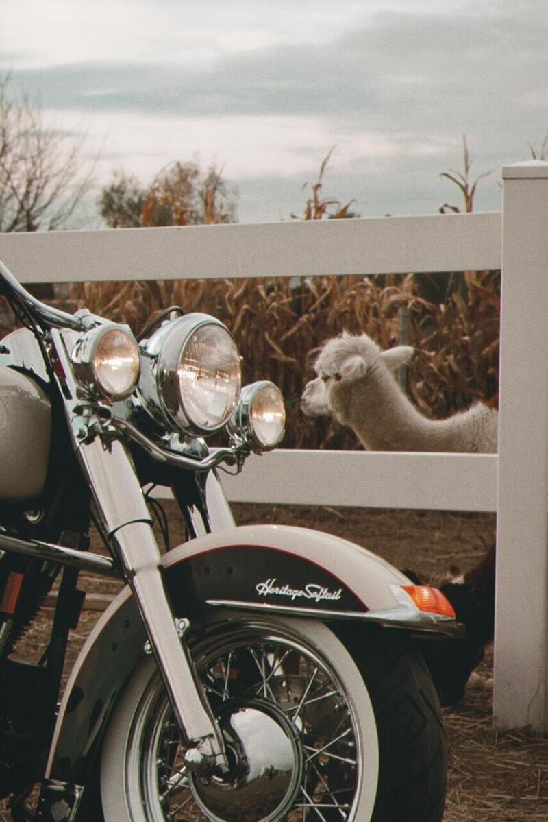 Harley-Davidson 1340 Heritage Special (1993 - 96) (8)