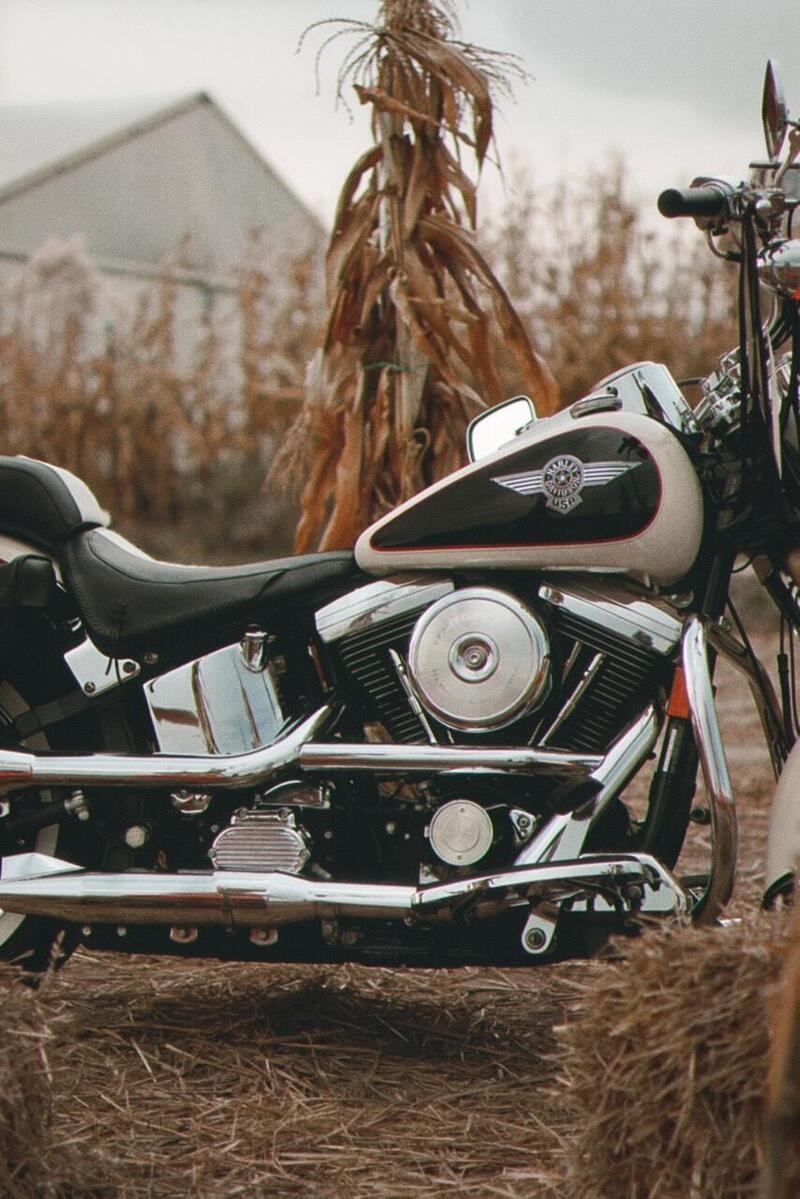 Harley-Davidson 1340 Heritage Special (1993 - 96) (9)