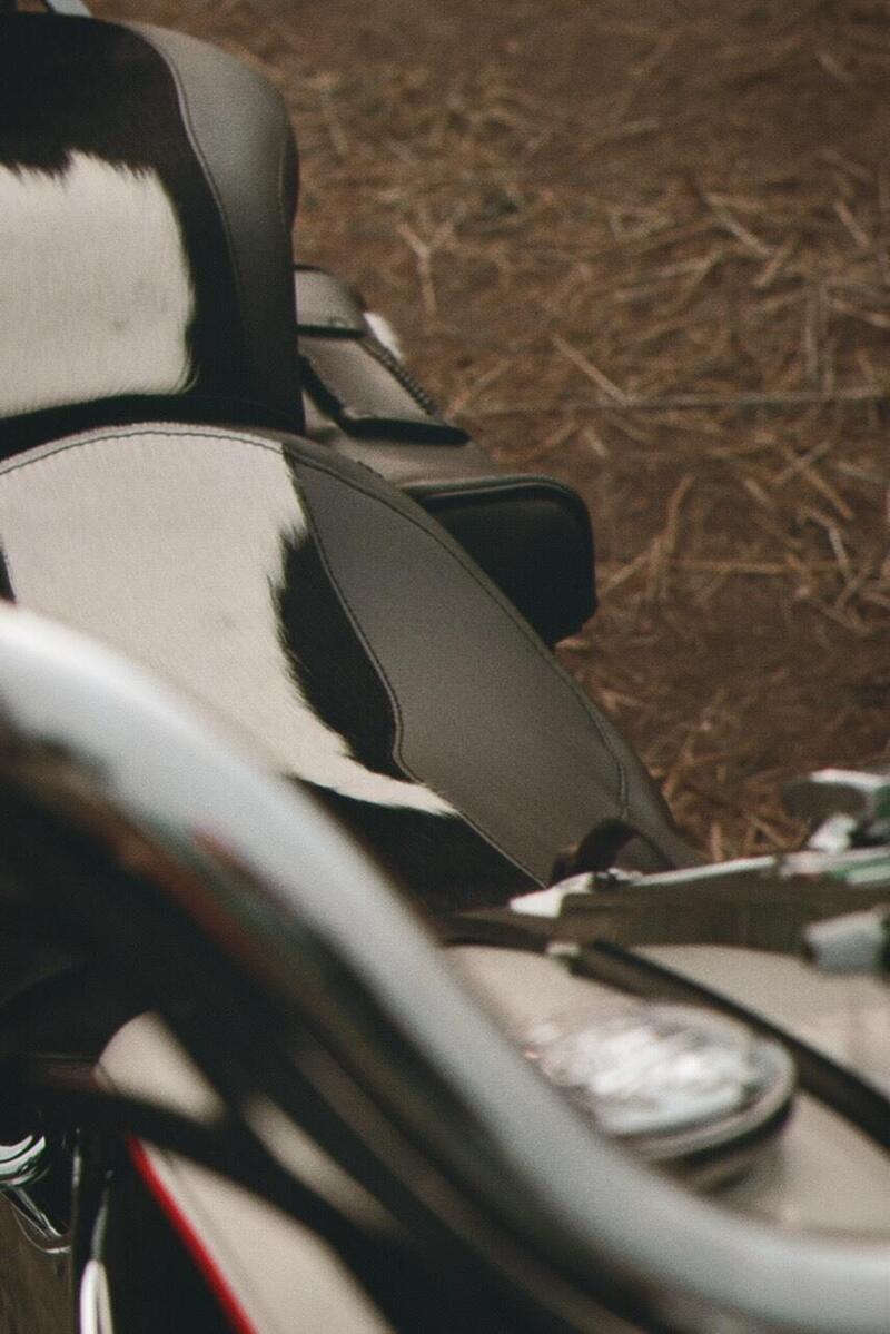 Harley-Davidson 1340 Heritage Special (1993 - 96) (10)