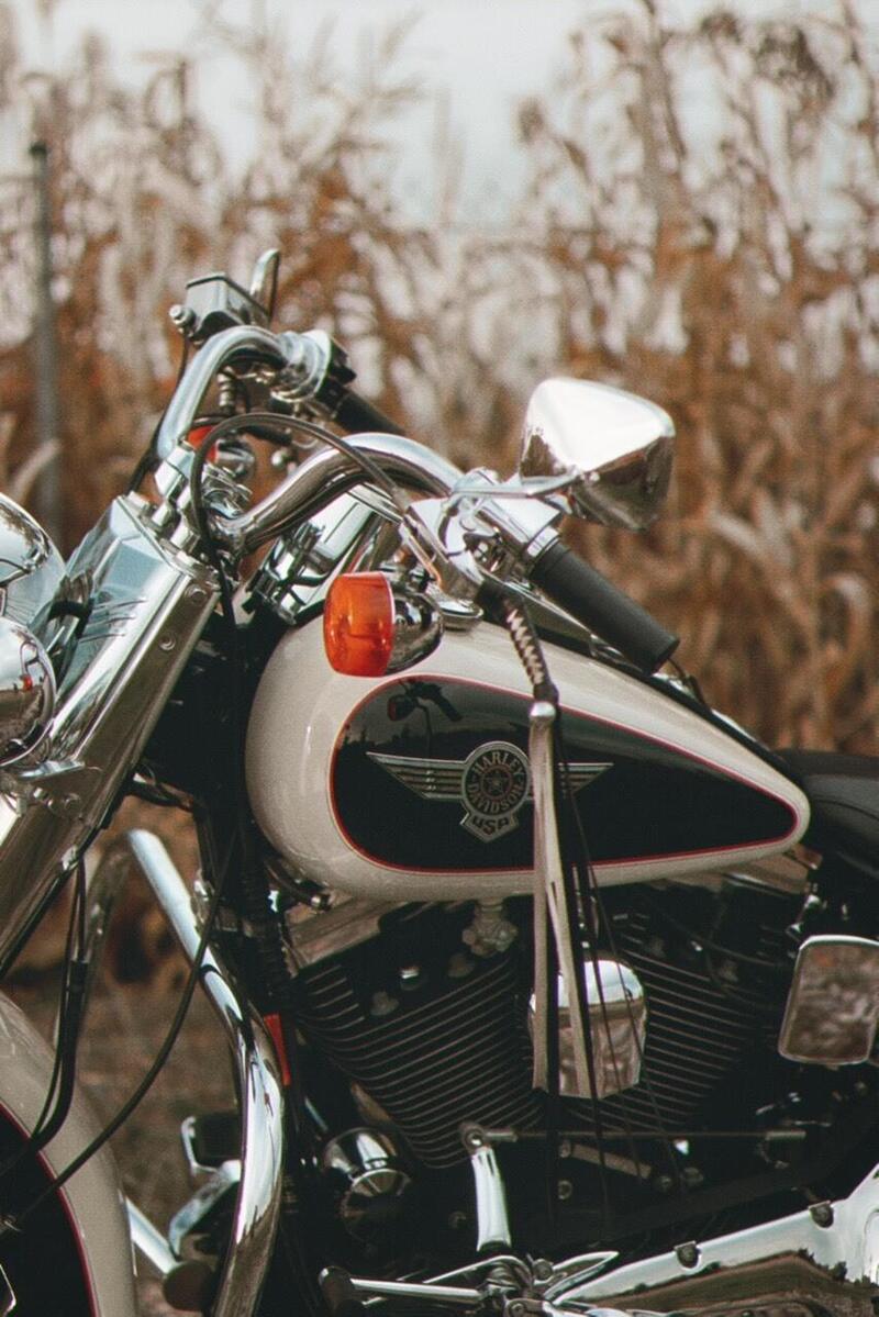 Harley-Davidson 1340 Heritage Special (1993 - 96) (13)