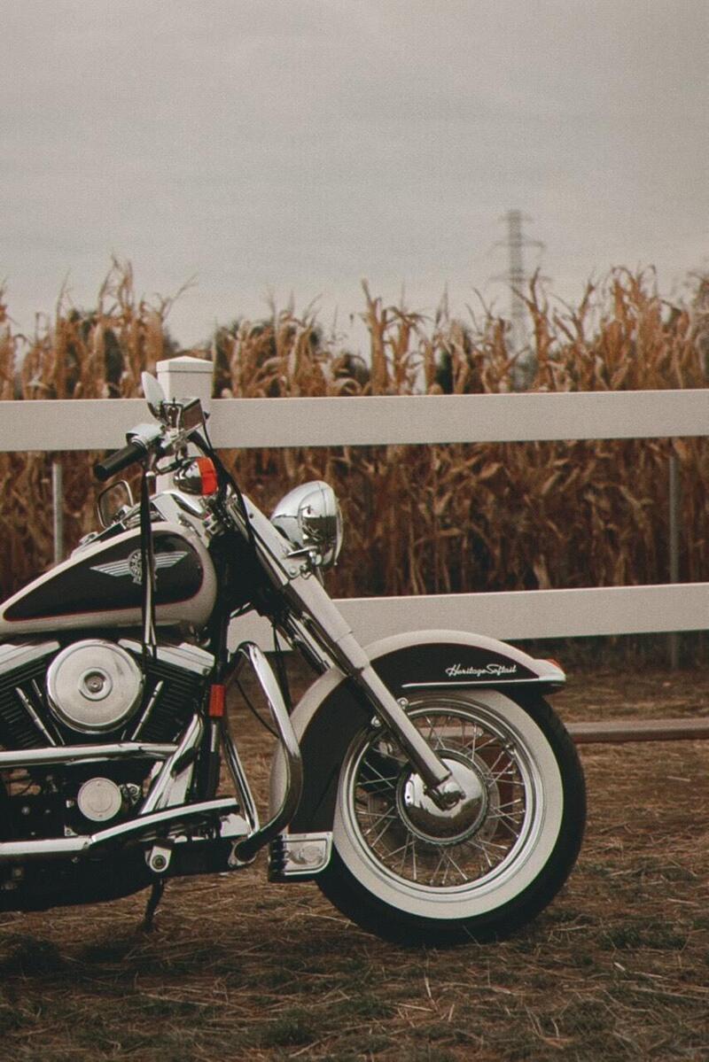 Harley-Davidson 1340 Heritage Special (1993 - 96) (15)