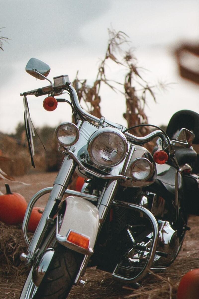 Harley-Davidson 1340 Heritage Special (1993 - 96) (18)