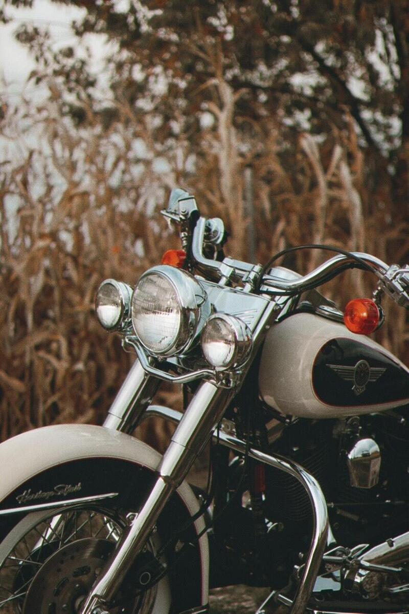 Harley-Davidson 1340 Heritage Special (1993 - 96) (19)