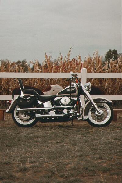 Harley-Davidson 1340 Heritage Special (1993 - 96) usata