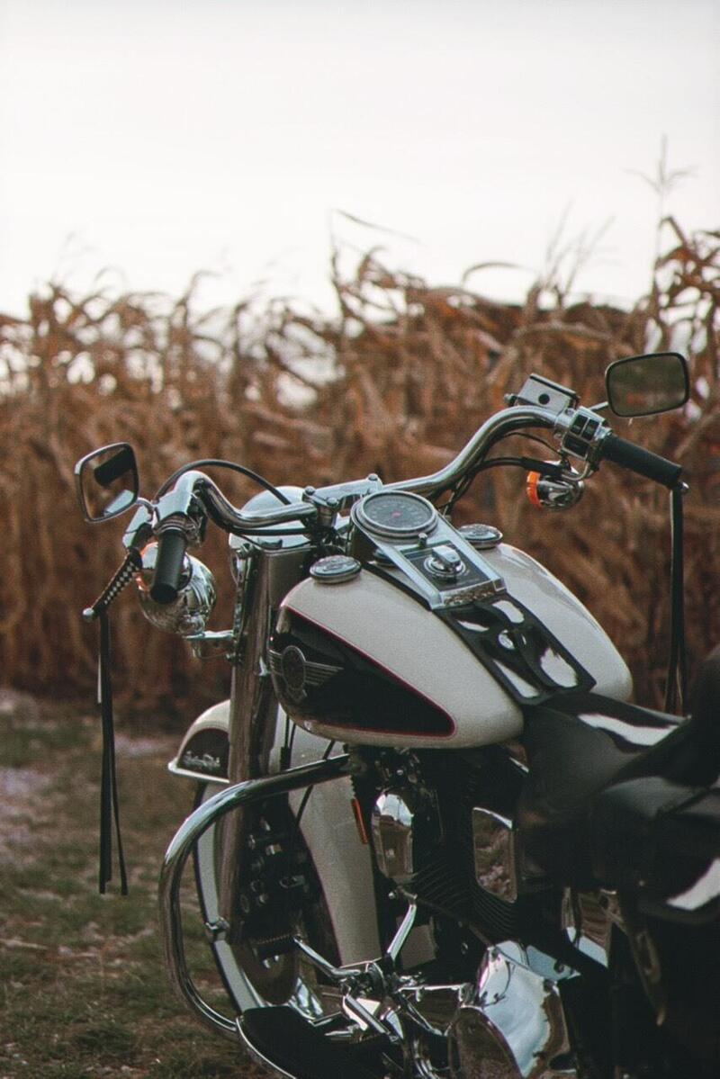 Harley-Davidson 1340 Heritage Special (1993 - 96) (20)