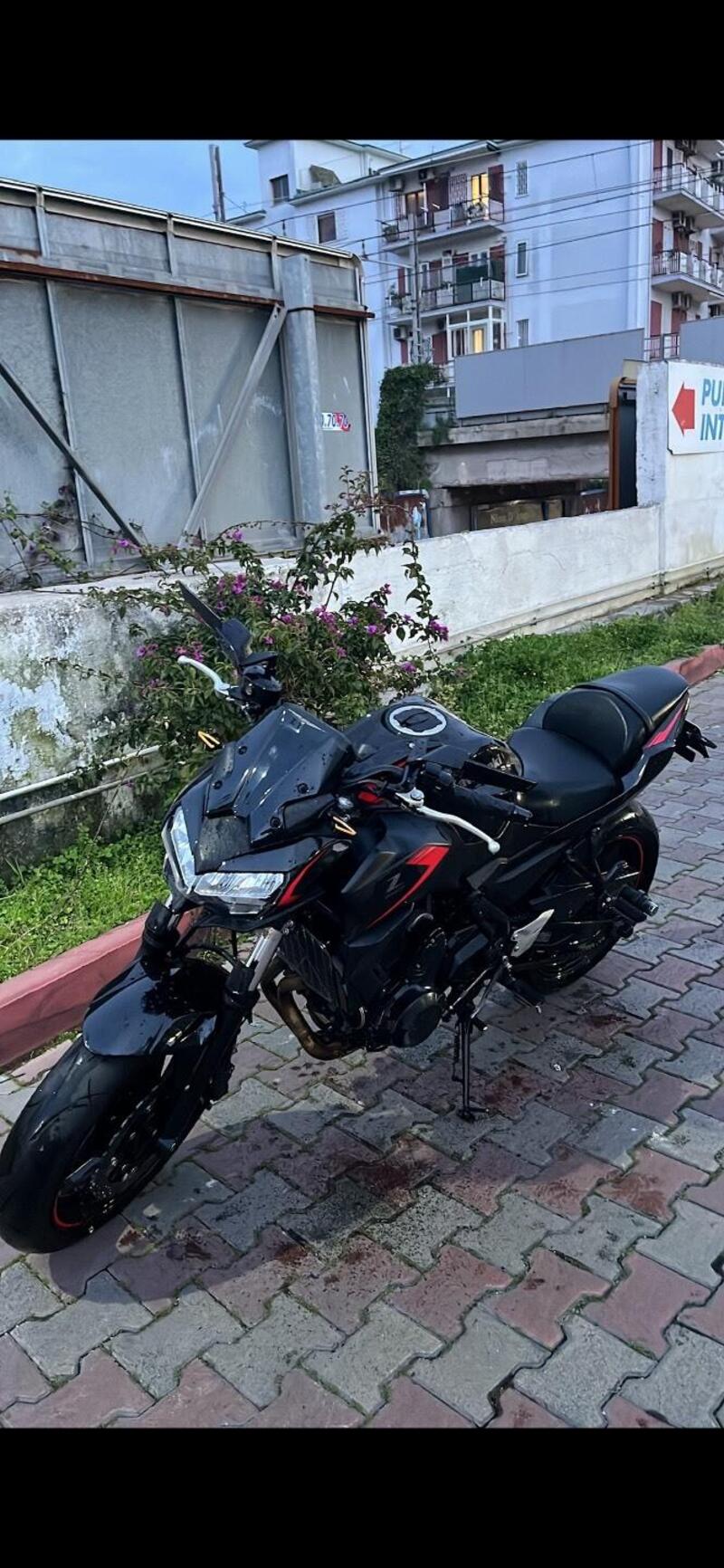 Kawasaki Z 650 (2021 - 24)