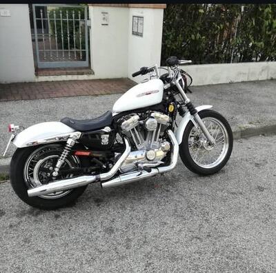 Harley-Davidson 883 Low (2006 - 07) - XL 883L usate - Moto.it