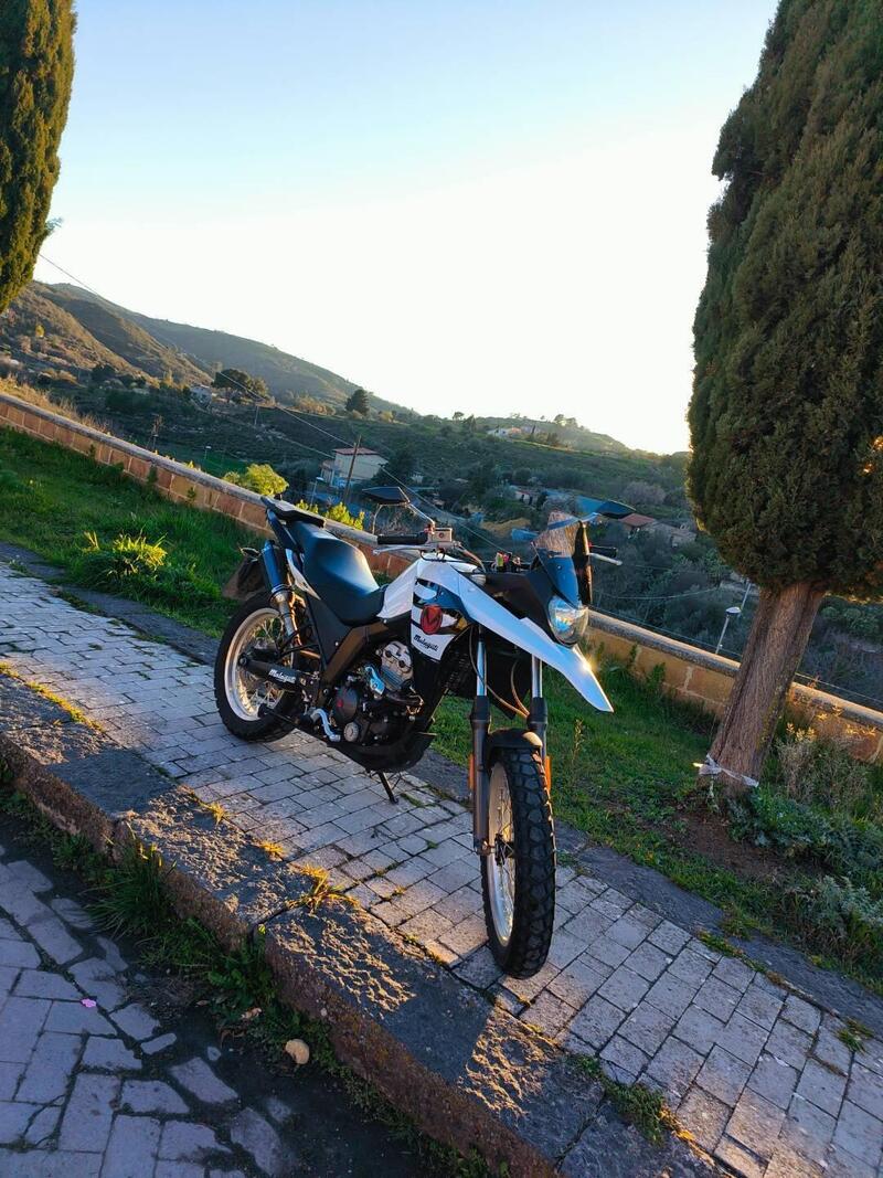 Malaguti Dune 125 (2019 - 20) (2)