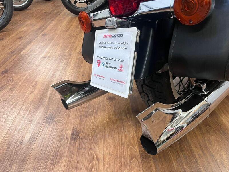 Harley-Davidson Road King Classic (2021 - 22) (12)