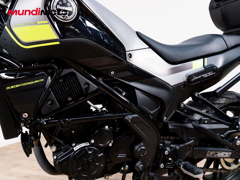 Benelli Leoncino 250 (2021 - 25) (9)
