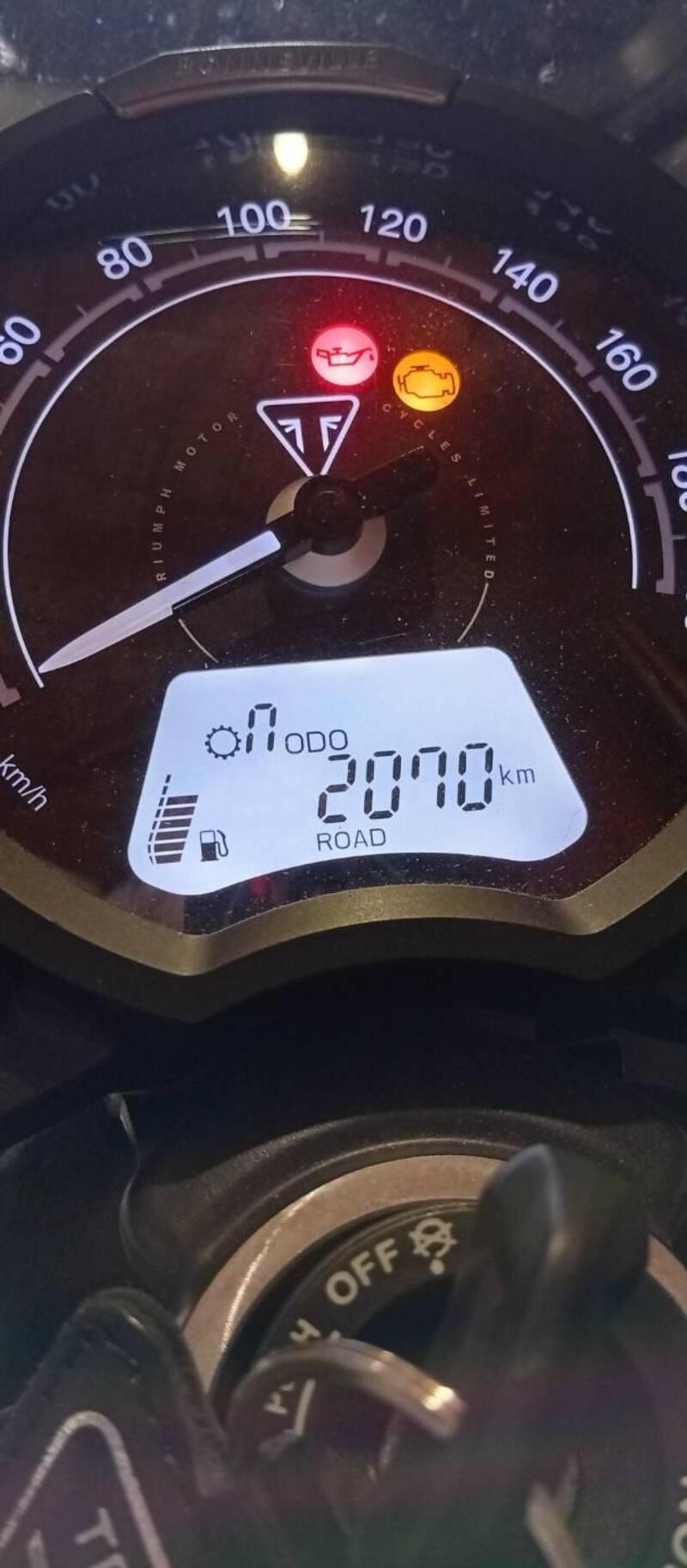 Triumph Speed Twin 900 (2023 - 24) (3)