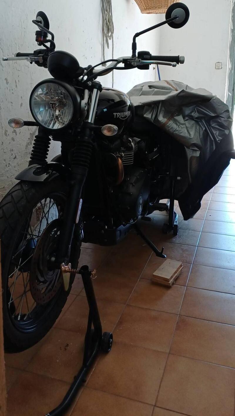 Triumph Street Scrambler 900 (2017 - 18) (7)