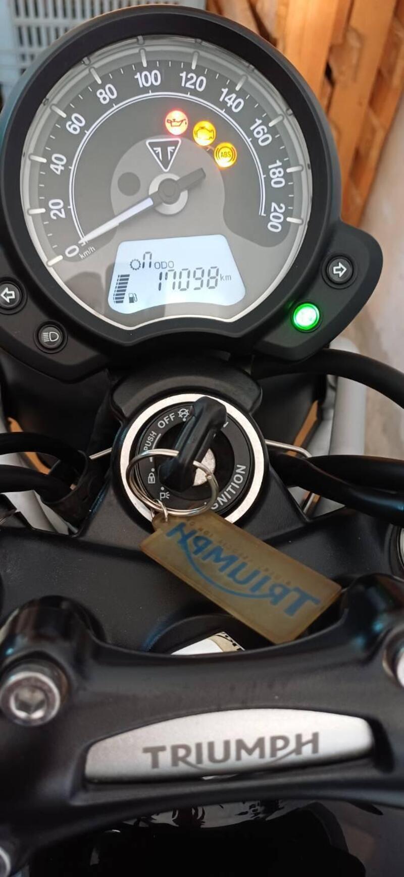 Triumph Street Scrambler 900 (2017 - 18) (6)