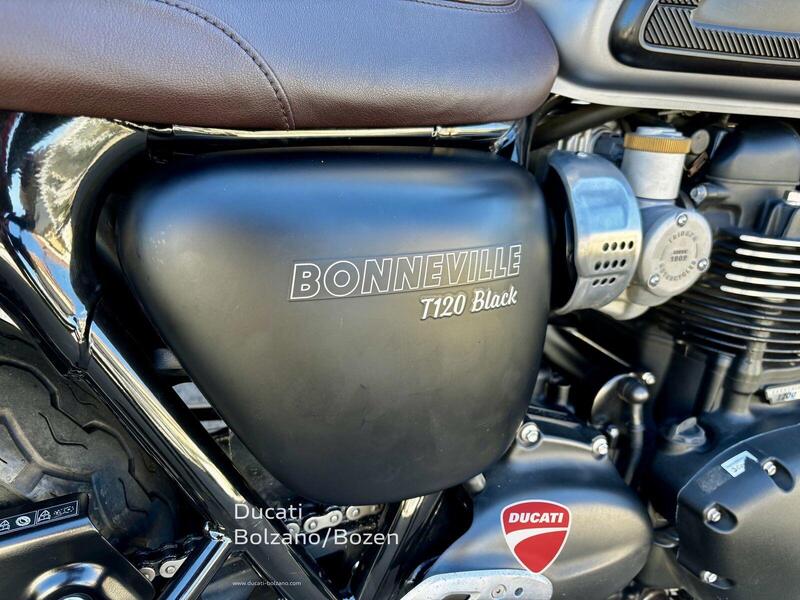 Triumph Bonneville T120 (2021 - 25) (5)
