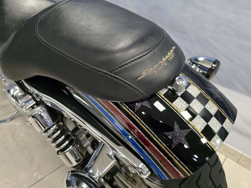 Harley-Davidson 1200 Custom (2004 - 06) - XL 1200C (10)