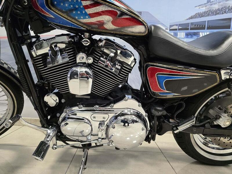 Harley-Davidson 1200 Custom (2004 - 06) - XL 1200C (12)