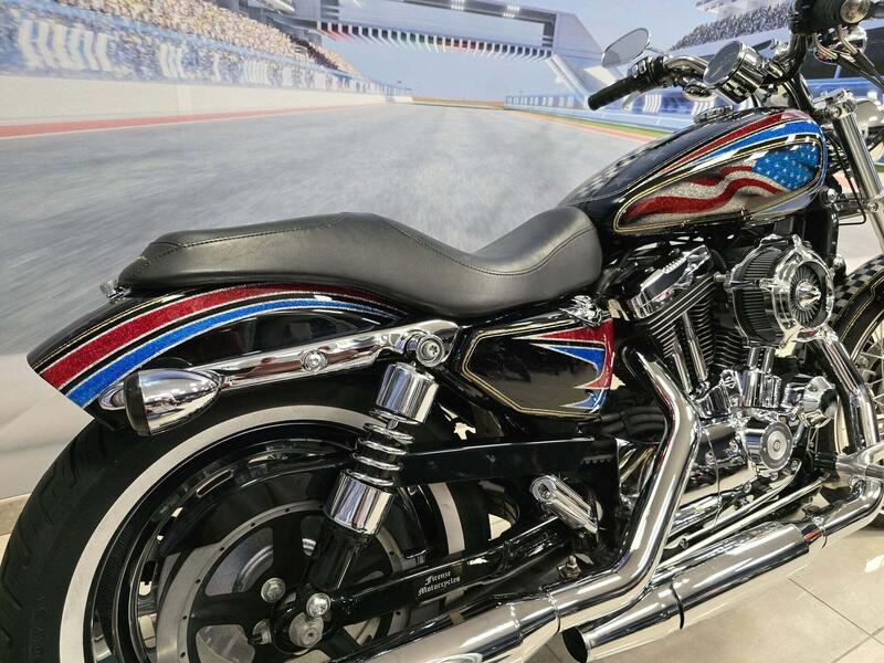 Harley-Davidson 1200 Custom (2004 - 06) - XL 1200C (20)