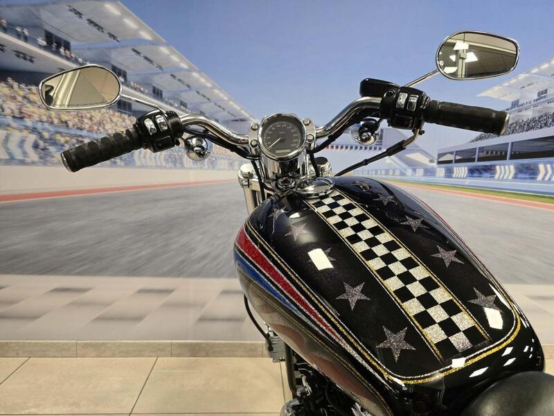 Harley-Davidson 1200 Custom (2004 - 06) - XL 1200C (6)