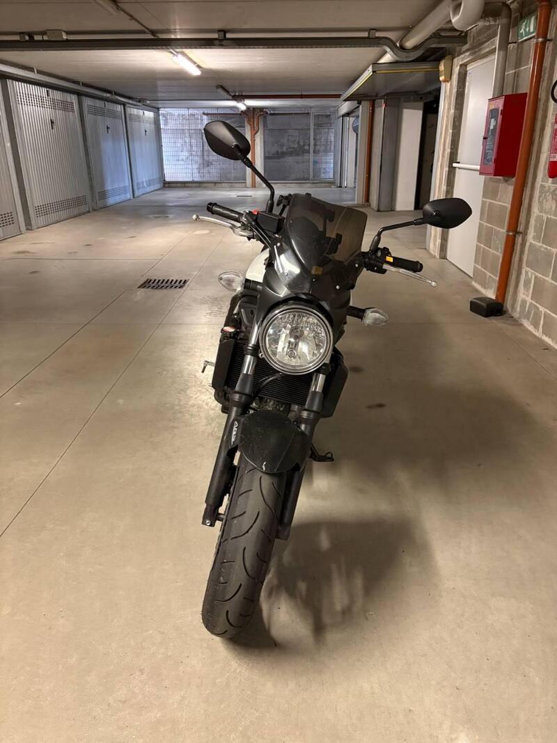 Suzuki SV 650 (2016 - 20) (4)