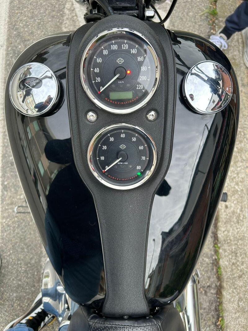 Harley-Davidson 1690 Low Rider (2014 - 17) - FXDL (8)