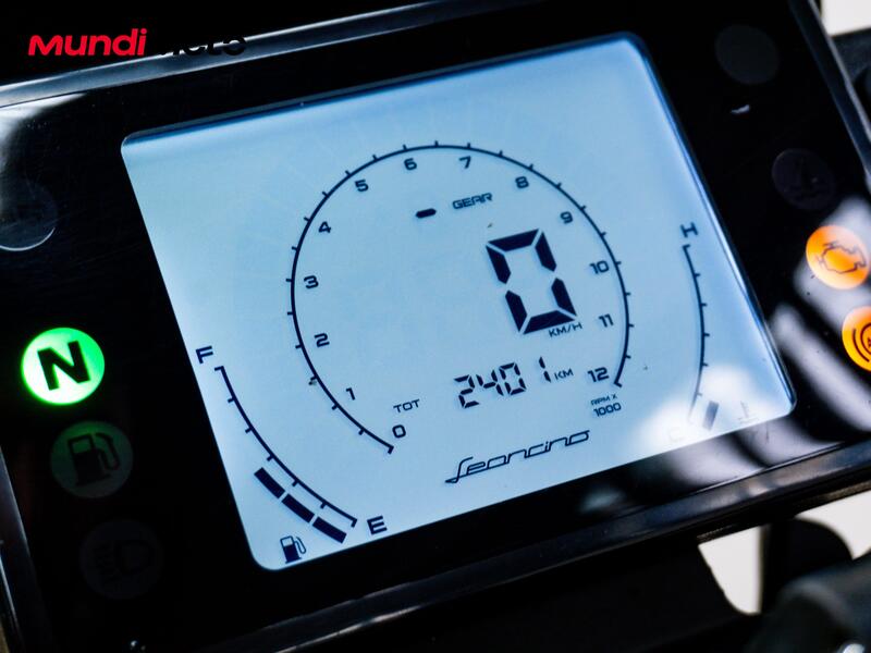 Benelli Leoncino 250 (2021 - 25) (12)