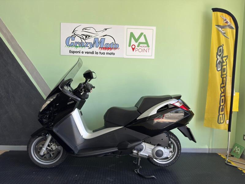 Peugeot Satelis 250 (2006 - 13) (2)