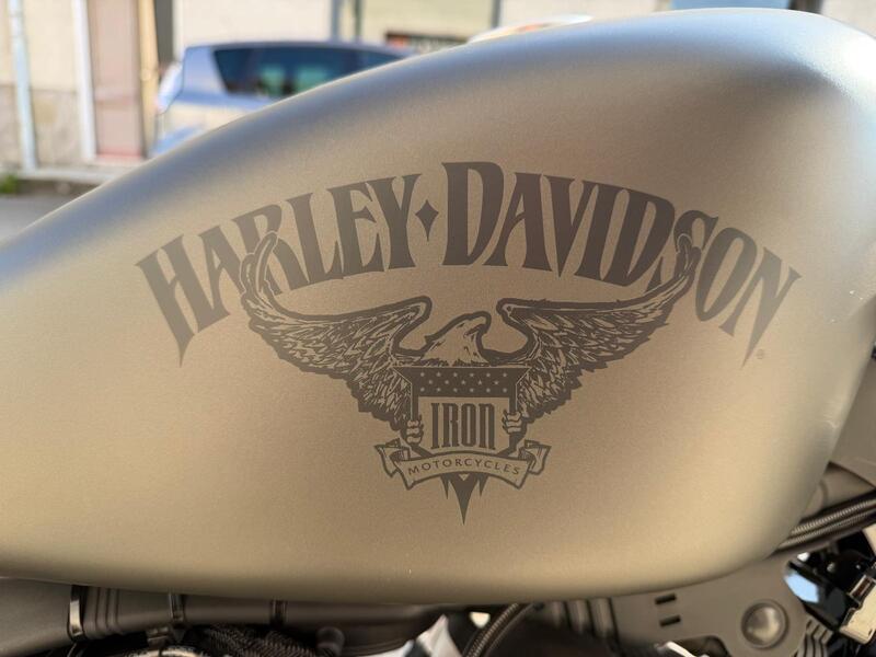 Harley-Davidson 883 Iron (2017 - 20) - XL 883N (11)
