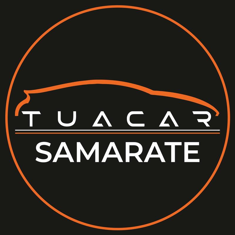 Harley-Davidson 883 Iron (2017 - 20) - XL 883N (18)