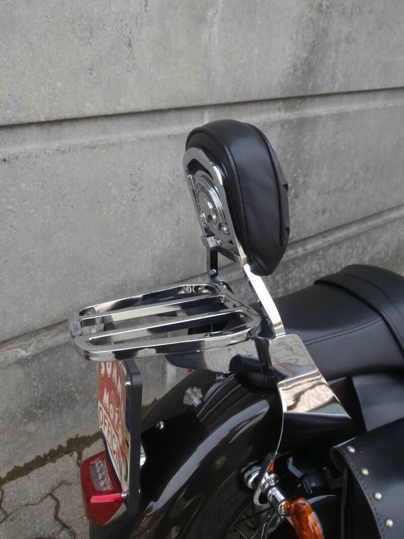 Harley-Davidson 1200 Custom (2017) - XL 1200C (13)