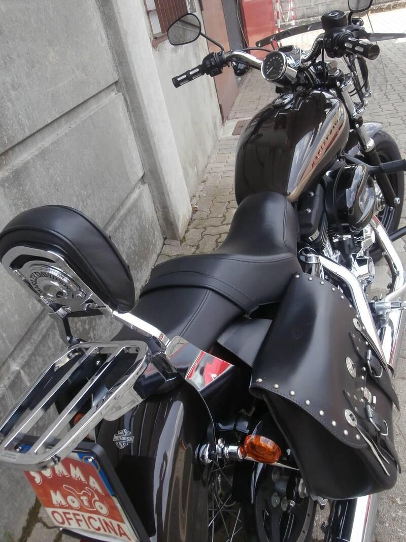 Harley-Davidson 1200 Custom (2017) - XL 1200C (11)