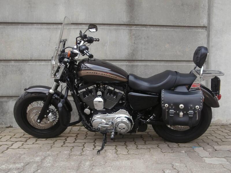 Harley-Davidson 1200 Custom (2017) - XL 1200C (4)