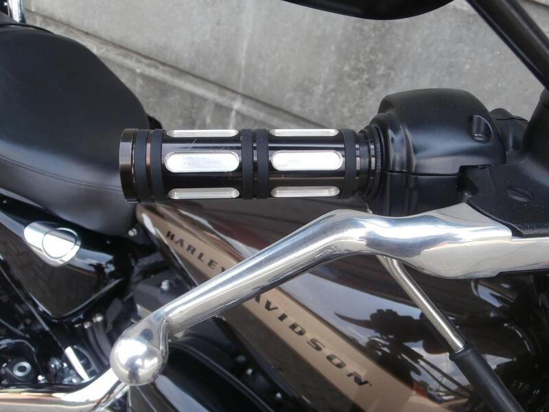 Harley-Davidson 1200 Custom (2017) - XL 1200C (15)