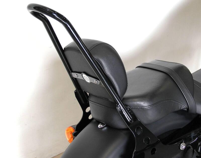 Harley-Davidson 883 Iron (2009 - 11) - XL 883N (7)