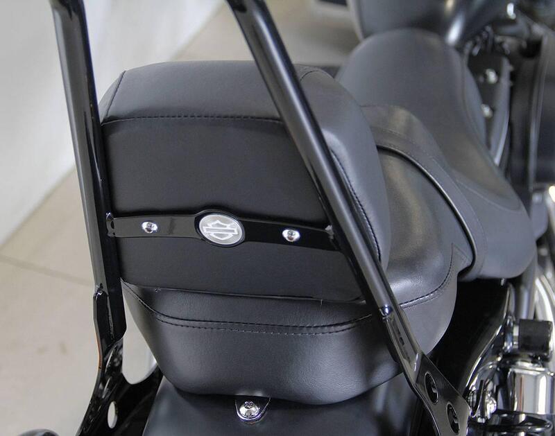 Harley-Davidson 883 Iron (2009 - 11) - XL 883N (8)