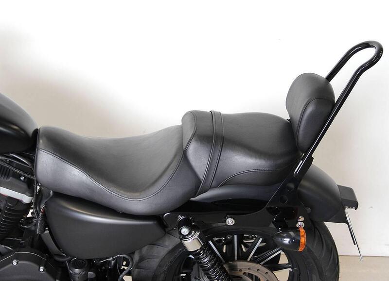 Harley-Davidson 883 Iron (2009 - 11) - XL 883N (11)