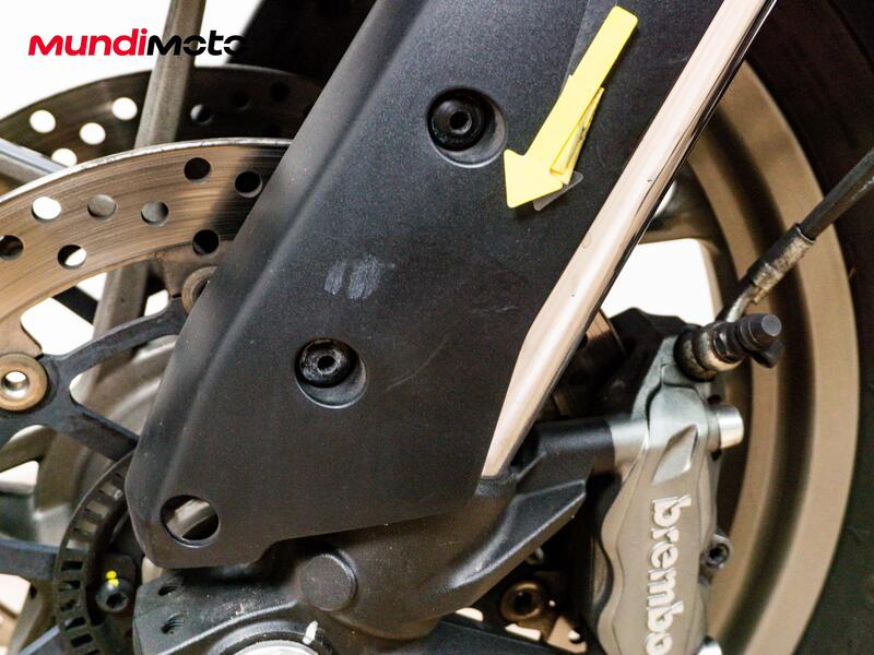 Ducati Multistrada 950 (2021) (15)