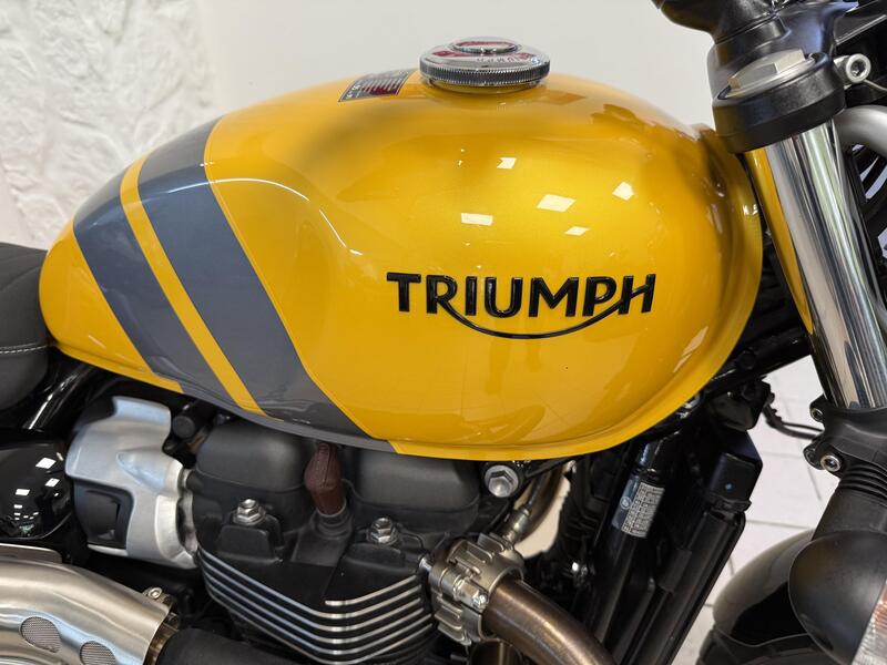 Triumph Scrambler 900 (2023 - 25) (9)