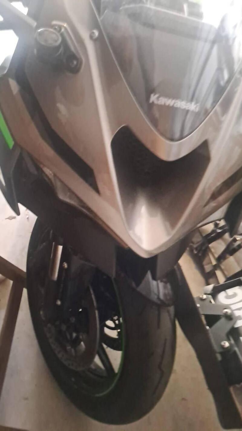 Kawasaki Ninja 636 ZX-6R (2024 - 26) (5)