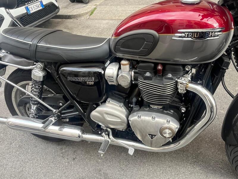 Triumph Bonneville T120 Gold Line Edition (2022 - 23) (6)